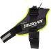 Buy IDC Powerharness 2XL/3 - Neon Edge Decoration Jeans | International Shipping Available - Buy Online on GoSupps.com