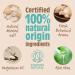 Salt of the Earth - Natural Deodorant Spray Refill - Certified Natural Vegan Long Lasting Protection Leaping Bunny Approved Made in the UK - 500ml (Ginger & Jasmine 500ml) Ginger & Jasmine 500 ml (Pack of 1) - Buy Online on GoSupps.com