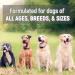 miNATURALS Pets K9 Fibre Training Treats for Dogs 400 Bites Natural Superfoods with Peanut Butter Pumpkin Banana & Apple Digestive Support Dogs Made in Canada - Buy Online on GoSupps.com