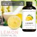Brooklyn Botany Lemon & Cinnamon Essential Oils 4 Fl Oz (Pack of 2) 100% Pure & Natural Bright & Warming Aromatherapy Blend - Buy Online on GoSupps.com