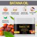 Buy Raw Batana Oil for Hair Growth | 100% Natural Hair Oil for Thickness & Strength | Prevent Hair Loss & Repair Damage - 3.4 OZ 100G - Buy Online on GoSupps.com