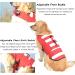 Fragralley Medium Dog Life Jacket in Bright Red | Swimming Safety Vest with Rescue Handle and High Visibility | Superior Buoyancy for Summer Adventures - Buy Online on GoSupps.com