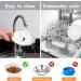 Dorakitten Ceramic Cat Food Plate - Non-Slip Mat, Stress-Relief Shallow Bowl for Kittens - Buy Online on GoSupps.com