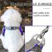 Rennaio No Pull Dog Harness & Adjustable Puppy Dishes Set - Ultra Comfortable Leash for Small & Medium Dogs (Purple Size S) - Buy Online on GoSupps.com