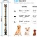 Timos Adjustable Dog Collar for Small, Medium, Large Dogs - Soft Puppy Collar with Metal Buckle - Sunset Valley | Pack of 1 - Buy Online on GoSupps.com