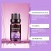 TS TAC-SKY Lavender Essential Oil - Multi-Purpose Care For Face Hair Eyelashes & Body Moisturizes Skin Boosts Shine Nourishes Lashes(2PCS) - Buy Online on GoSupps.com