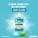 Listerine - Intense Freshness Mouthwash Menthol Lighter Taste Alcohol-Free Mouthwash 500ml - Buy Online on GoSupps.com