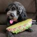 Doggijuana Dog Toy and Juananip Refill Bundle - Catnip Toy with Organic Refill Bottle - Buy Online on GoSupps.com