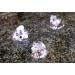 OASE 50115 Lunaled: 9-Piece Underwater & Source Stone Lighting for Ponds Fountains & Gardens - Cold White Diodes - Buy Online on GoSupps.com