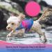 Vivaglory Light Lifeguard Dog Vest - Skin-Friendly Neoprene Swimming Vest for Small Dogs - Pink & Blue - Quick Lock & D-Ring - Size S (Chest 48-56cm) - Buy Online on GoSupps.com