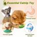 Havenfly Rotatable Catnip Ball Toy - Edible Catnip Wall Roller for Cats | 1PC Cat Toys for Engaging Play - Buy Online on GoSupps.com