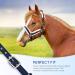 Nobleza Knotted Halter for Horses - Padded Nose & Neck Dark Blue | Ideal for Riding & Training - International Shipping Available - Buy Online on GoSupps.com