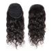 Hair Chignon 10-28 Inch Water Wave with Drawstring Hair Comb Ponytail Real Hair Wet Wavy Ponytail Hair Extensions Ladies Wig Messy Bun Hair Piece (Color : Water Wave Size : 14inch 100g)