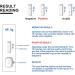 Helicobacter Pylori Stool Test Kit - Accurate Home Testing in 10-15 Minutes | Quick & Easy Results - Buy Online on GoSupps.com