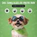 Stylish Panda UV Glasses for Small Dogs - Eye Protection & Windproof Cat Glasses - Buy Online on GoSupps.com