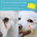 Pink Blue Yellow Dog Grooming Flea Comb - 6 Pcs Pet Lice Combs for Dandruff & Nit Removal - Buy Online on GoSupps.com