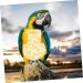 POPETPOP 6 PCS Parrot Flight Suit - Diapers for Birds Pigeon Flight Suit & Conure Harness - Cotton Set (3 Yellow 3 Mixed Colors) - Buy Online on GoSupps.com