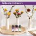EFH Essential Oils Set 6 Natural Fragrance Oils for Diffusers & Candles | Lavender Lemon Peppermint Sweet Orange & Sakura 10ML Each - Buy Online on GoSupps.com