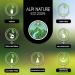Buy 1kg Whole Milk Thistle Seeds - 100% Natural Pure Gently Dried Vegan - International Shipping Available - Buy Online on GoSupps.com