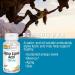 Buy SOLARAY Alpha Lipoic Acid 250 mg - 60 Vegan VegCaps for Antioxidant & Energy Support - Non-GMO - International Shipping Available - Buy Online on GoSupps.com