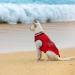 8-Piece Dog Shirts with Funny Letters | Summer Pet T-Shirt Set for Dogs and Cats | Breathable and Soft Dog Outfit | Cool Puppy Shirts | Classic Pattern - Medium - Buy Online on GoSupps.com