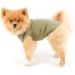 Paidful British Little Dog Shirt - Soft Cotton Striped Vest for Chihuahuas Yorkies & Puppies | Summer Tank Top S Size (20cm Back Length 32cm Bust) - Yellow - Buy Online on GoSupps.com