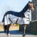 Equitack 600 Denier 2 in 1 Fly Lightweight Turnout Mesh Horse Rug |Waterproof Topline|Fixed Neck|Teflon Coated|Machine Washable Black/Silver 6ft 9 6'9'' Black/Silver - Buy Online on GoSupps.com