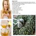 1 kg de th oolong au lait Mountain Jinxuan th parfum th vert - Buy Online on GoSupps.com