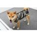 PetYoung Dog Recovery Suit - Camouflage Vest for Small & Medium Dogs | Post-Surgery Wound Protection - XXXL Size - Buy Online on GoSupps.com