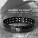 Hero Titanium Magnetic Bracelet - Sherman Tank Track Magnetic Therapy with Link Removal Tool - Buy Online on GoSupps.com