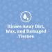 PetArmor Ear Rinse 4 oz for Dogs & Cats - Gentle Ear Cleaning Solution - Buy Online on GoSupps.com