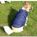 Buy Joydaog 2-Layer Warm Dog Jacket - Windproof XXL Vest for Winter & Cold Weather - Extra Soft Blue | International Shipping Available - Buy Online on GoSupps.com