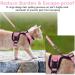 Dooradar Cat Harness and Leash Set - Escape Proof Adjustable Kitten Vest for Walking - Soft Breathable Mesh Jacket with Reflective Strips - XS Pink - Buy Online on GoSupps.com