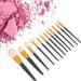 Makeup Brush Set 12 Brushes for Foundation Powder Concealers Eye Shadows with Soft Bristles for Beginner Friendly Versatile Use Great Gift - Buy Online on GoSupps.com
