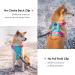 Buy Phoepet No Pull Dog Harness - Reflective Vest with Soft Training Handle for All Dog Sizes - Mint Green & Pink - Buy Online on GoSupps.com