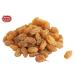 Spicy World Golden Raisins 2 LB Bag - Premium Seedless Sultanas from South Africa - No Added Sugar - Buy Online on GoSupps.com