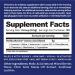 BodyHealth PerfectAmino XP Mixed Berry (120 Servings) Best Pre/Post Workout Recovery Drink  8 Essential Amino Acids Energy Supplement with 50% BCAAs  100% Organic  99% Utilization - Buy Online on GoSupps.com