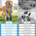 ETACCU 42 6-Knot Dog Rope Toy for Large Breeds - Heavy Duty Indestructible Chew Toy for Aggressive Dogs - 100% Cotton Tug Rope for Chewers - Buy Online on GoSupps.com