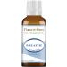 Plant Guru Breathe Synergy Blend 1 oz / 30 ml Pure Therapeutic Grade Essential Oil Respiratory Support