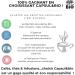 CAPSUL&BIO Th Noir Cacao - Compatible avec les machines Capsules Nespresso - 10 Capsules Biod gradables 100% V g tales - Rapide et Sain - Fabriqu en France. - Buy Online on GoSupps.com