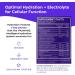 Electrolytes Powder - 15 Sticks for Energy & Endurance | IV Hydration Multiplier Orange Mix for Mental Clarity & Fluid Balance - Buy Online on GoSupps.com