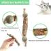 4-Pack Organic Catnip Sticks for Dental Care | Cat Chewing Toys & Caust Sticks Set - Buy Online on GoSupps.com