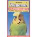 Armitage Petblis Kagesan No 3 Sandpaper Orange 35.6 x 20.3 cm 100 g 8 pieces (1 pack)