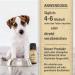 Saint Nutrition Wurm Plus Globuli - Natural Worm Treatment for Dogs & Cats | 10g - Effective Pet Health Solution - Buy Online on GoSupps.com