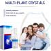 Instant Toothache Relief Spray for Effective Dental Pain Prevention | Fresh Breath Oral Spray for Portable Teeth Treatment - Buy Online on GoSupps.com