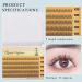Arqumi False Eyelashes - 200 Mix Lash Clusters for Natural Extensions 8mm to 12mm in Black - Global Shipping Available - Buy Online on GoSupps.com