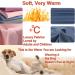Hualisiji Dog Hoodie Sweater - Warm & Lightweight Chihuahua Clothing | Soft Textured Dog Sweater for Small Dogs (M Gray + Haze Blue) - 2PCs - Buy Online on GoSupps.com