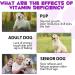 Dogs Vitamins and Supplements with Glucosamine & Cranberry 15 in 1 Multivitamins Supports Dogs Hip and Joint Immune Health Skin Coat Heart Health for Small Medium and Large Dogs - Buy Online on GoSupps.com