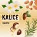 Buy INOAR Kalice Shampoo - Nourishing & Moisturizing with 7 Essential Oils Argan Oil Vegan & Cruelty-Free Haircare for All (8.4 oz) - International Shipping Available - Buy Online on GoSupps.com