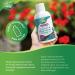 Nature's Way Calcium and Magnesium Citrate 2:1 - Liquid Supplement with Vitamin D3 and Collagen Helps Support the Maintenance of Bones and Teeth No Vitamin K2 - Blueberry Flavour 500 mL - Buy Online on GoSupps.com